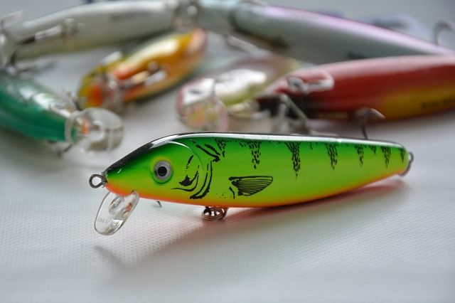 Lure Fishing for Pike, Perch and Zander - Featured Image