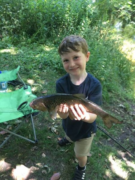 The Best Perch Lures In 2019 (UK)