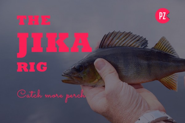 Jika Rig - Catch More Perch