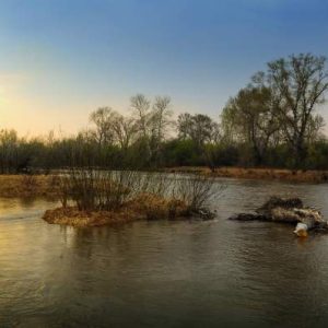 Lure fishing in floods and coloured water - Flooded river