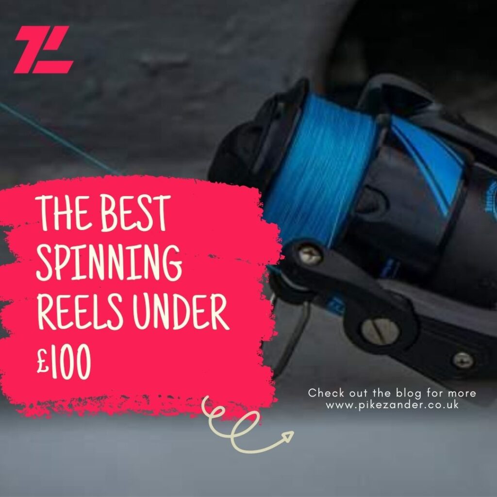 The Best Spinning Reel Under £100
