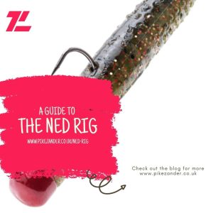 The Ned Rig - Fishing for Perch - Finesse Fishing