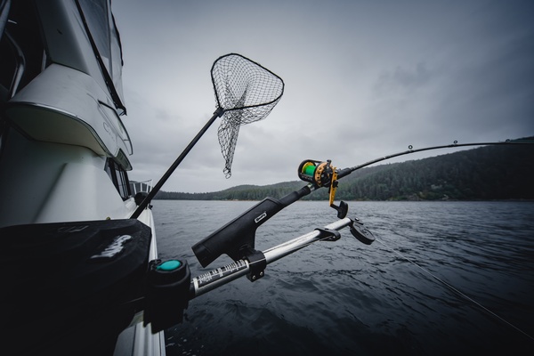 Boat Fishing for Dogfish and Bull Huss