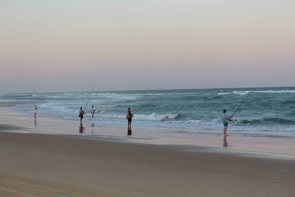 Surfcasting for Dogfish